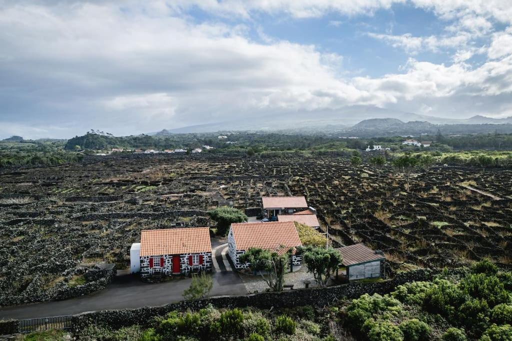 Adega Dos Virgilios Villa Cabo Branco Екстериор снимка